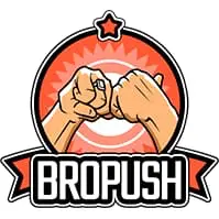BroPush